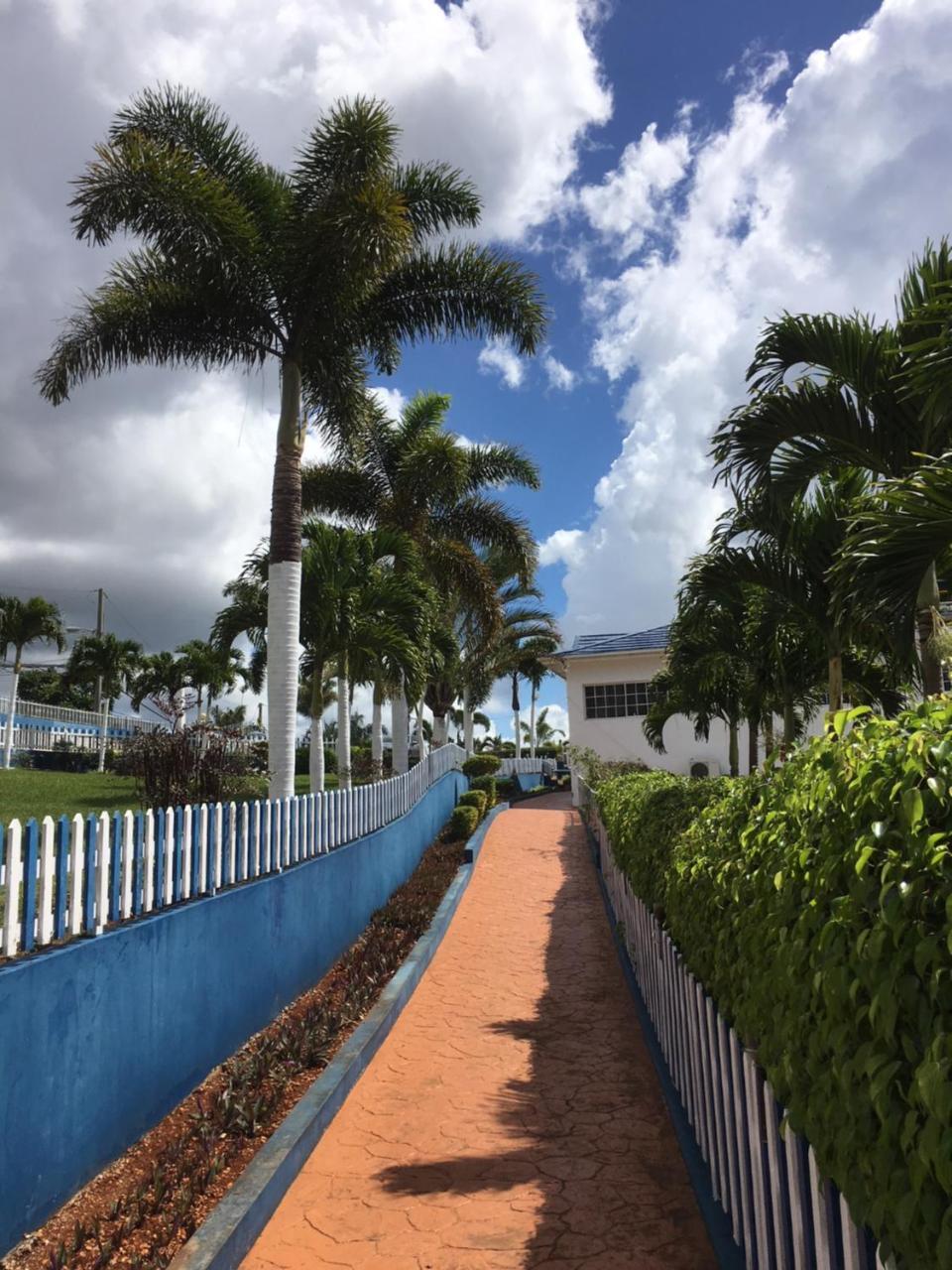 TROPICS VIEW JAMAICA HOTEL HATFIELD GREAT PRICES FOR IN